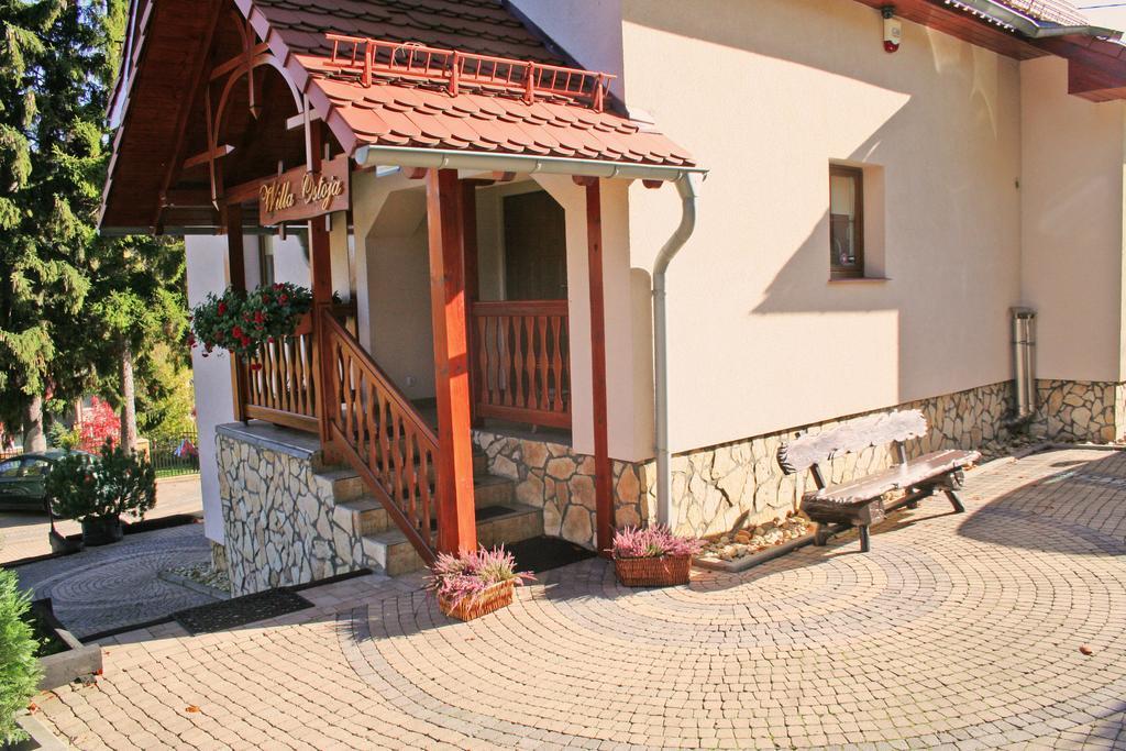 Willa Ostoja Świeradów-Zdrój Esterno foto